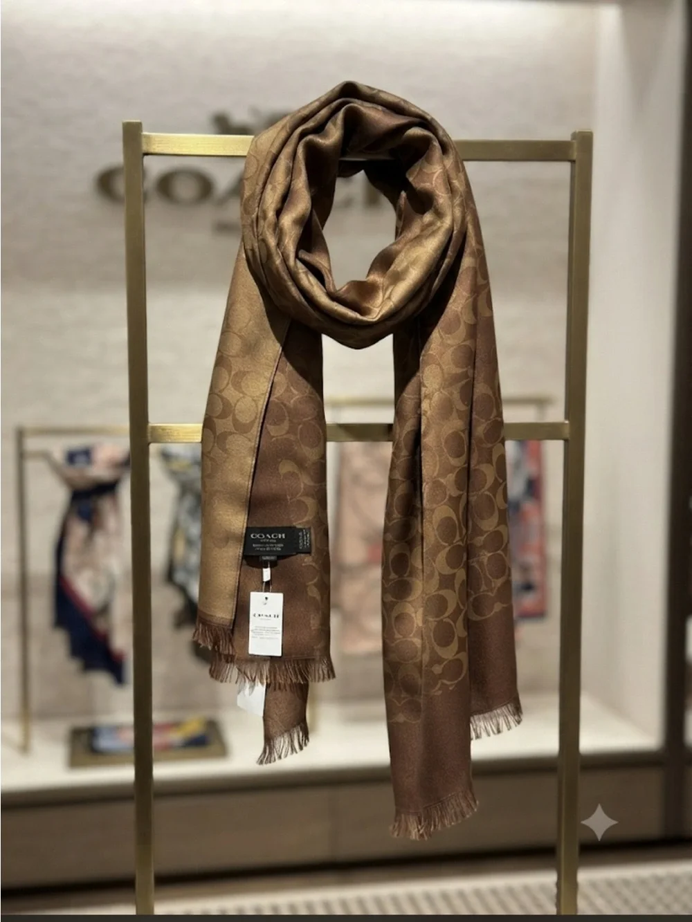 Coach Brown Signature Jacquard Men’s Scarf